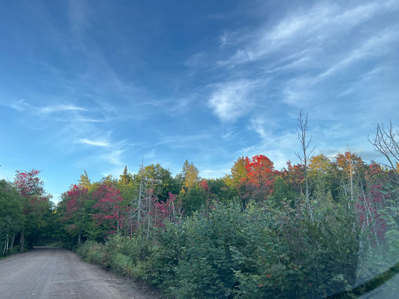 Fall Foliage in UP Michigan September 2023: Some Color